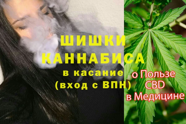 ПСИЛОЦИБИНОВЫЕ ГРИБЫ Алзамай