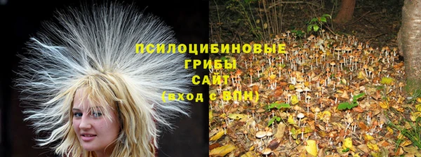 твердый Алексеевка