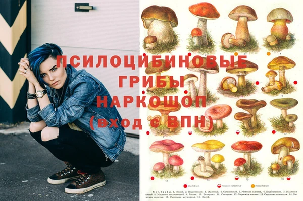 твердый Алексеевка