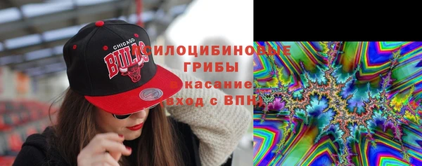 ПСИЛОЦИБИНОВЫЕ ГРИБЫ Алзамай