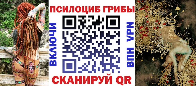 Псилоцибиновые грибы мицелий  Дыгулыбгей 